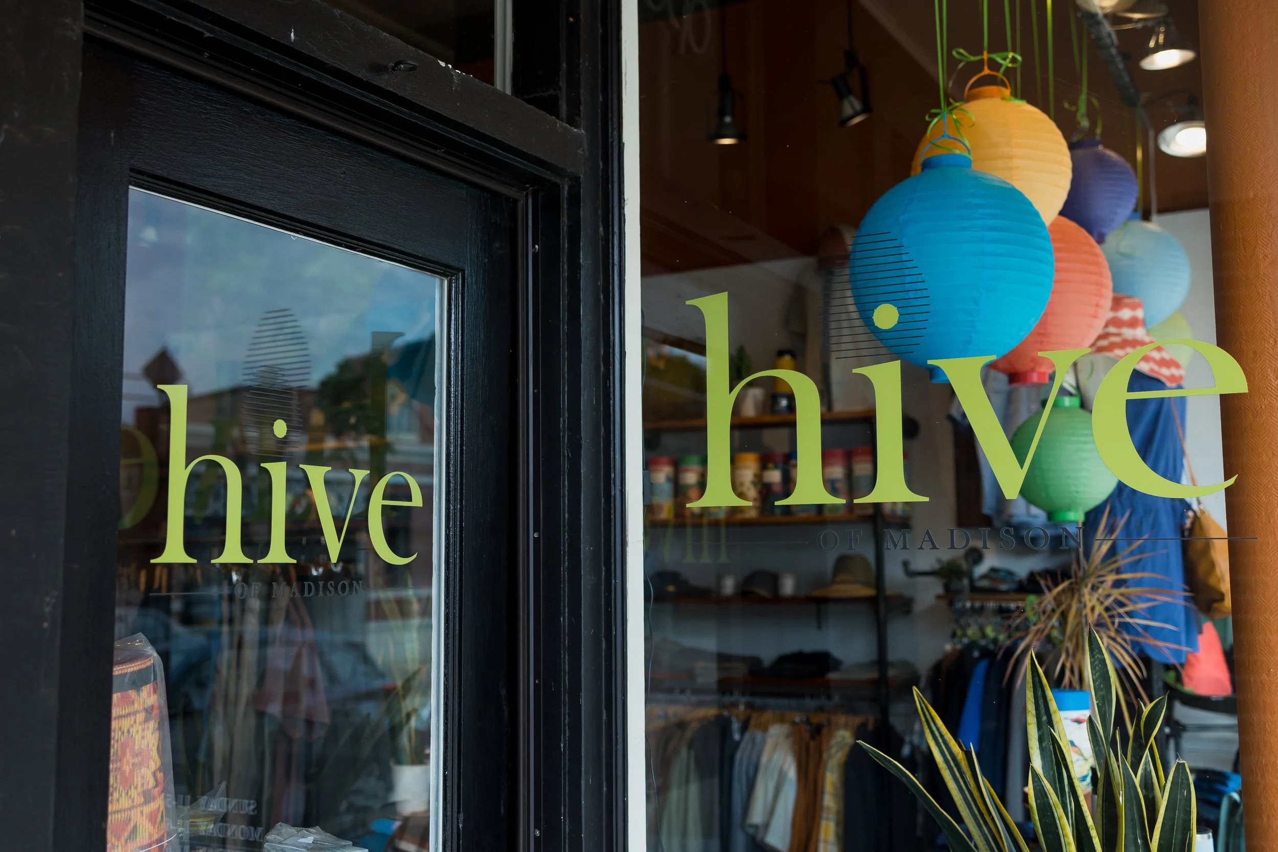 Hive of Madison in Madison, WI