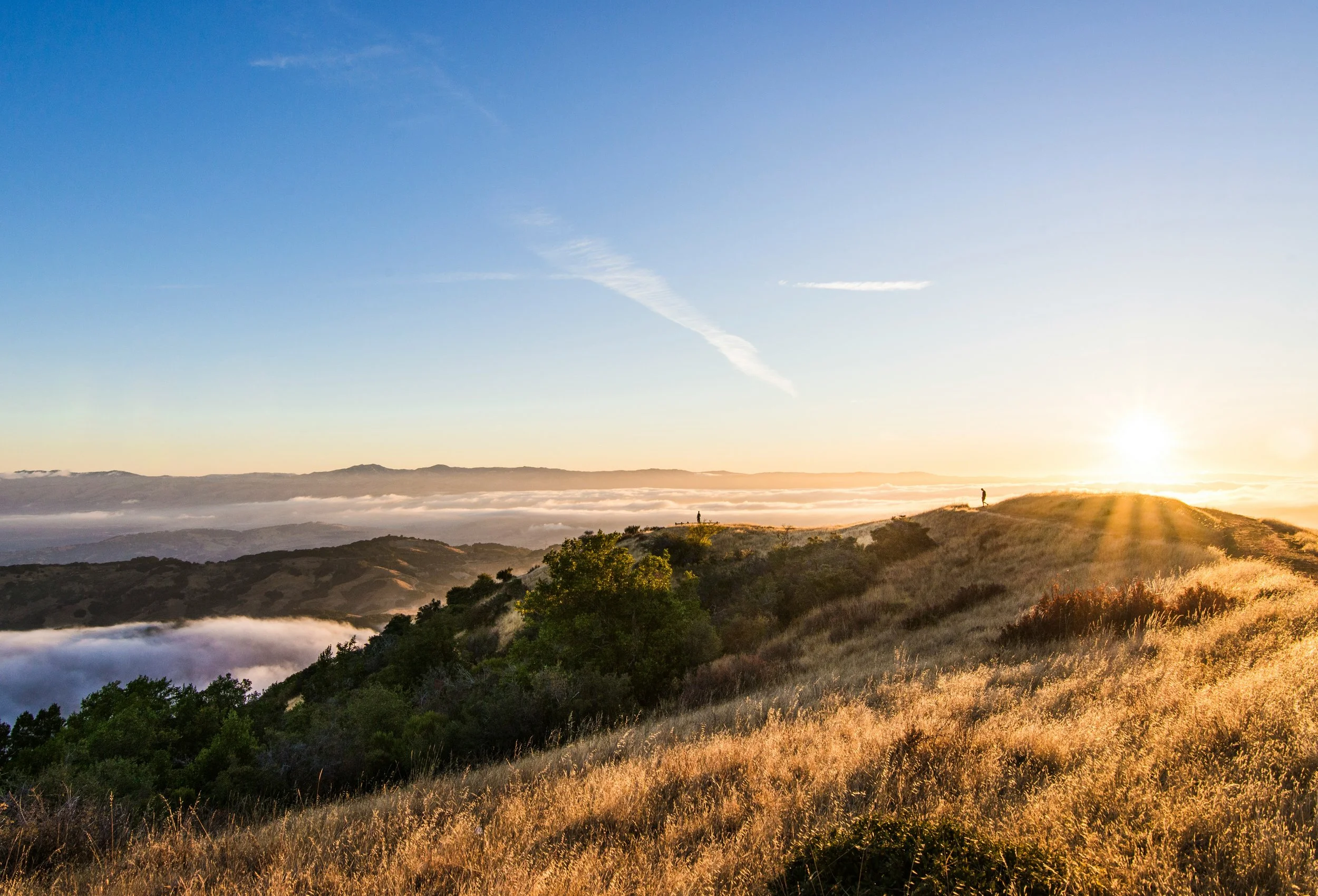 MH Consulting & Bookkeeping Service in Novato, CA