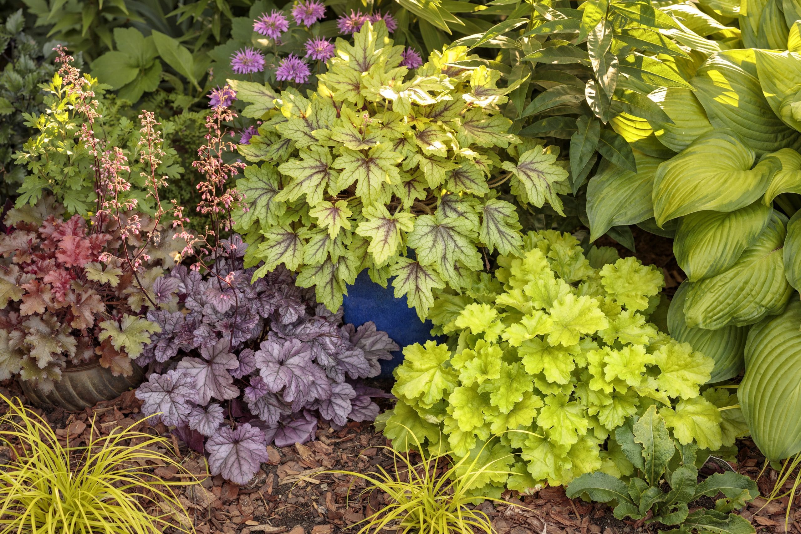 Carefree Lawn Center Landscape Supply in Trenton, MI (2)