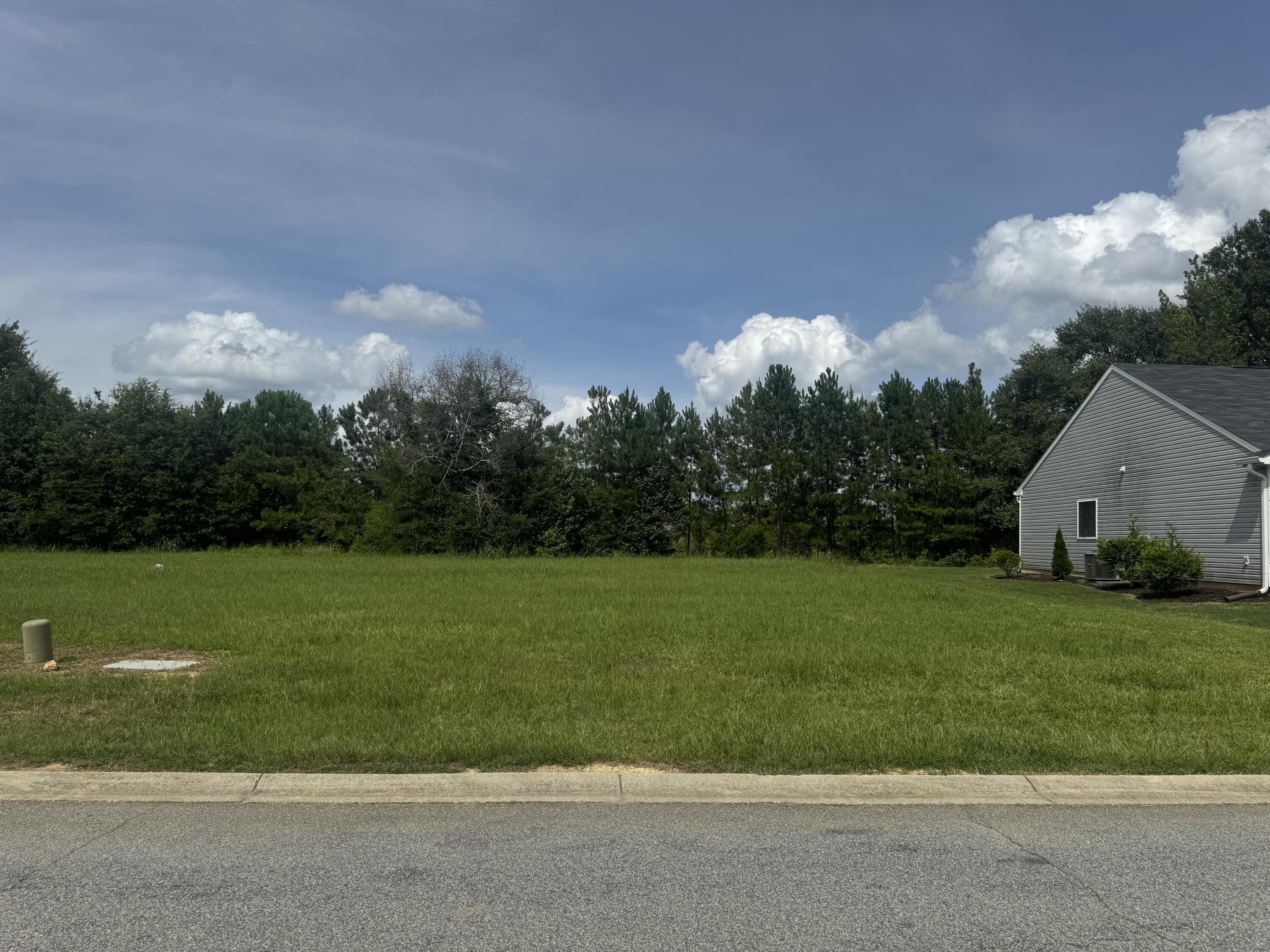 Summers Pendarvis, Weichert Realtors - Pendarvis Company in Edgefield, SC (2)