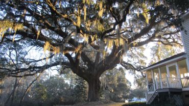 Beach and River Homes South Carolina Real Estate in Georgetown, SC (2)