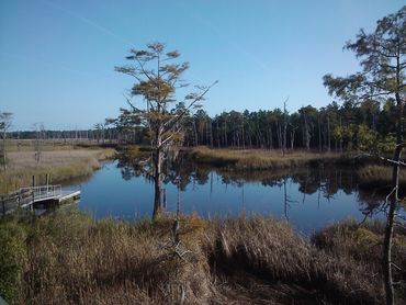 Beach and River Homes South Carolina Real Estate in Georgetown, SC (3)