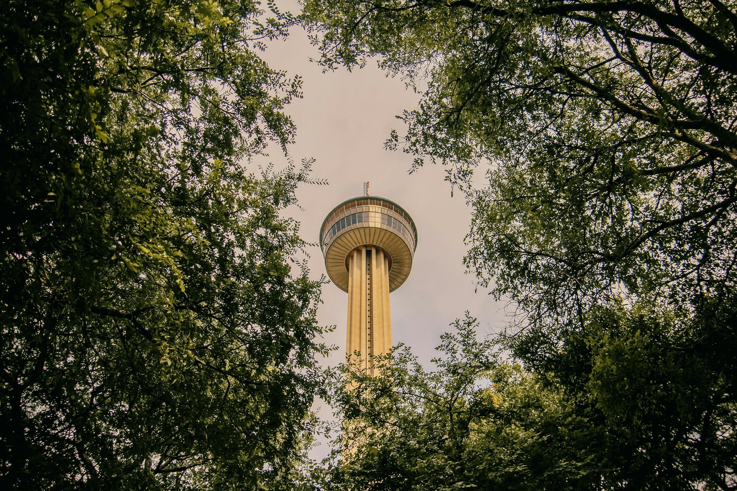 Jean Brown Family Law Firm in San Antonio, TX