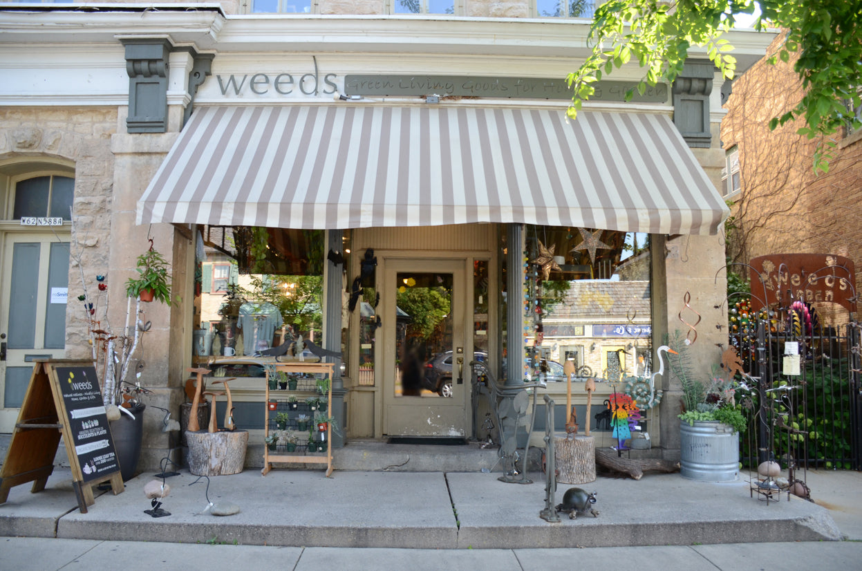 Weeds in Cedarburg, WI (5)