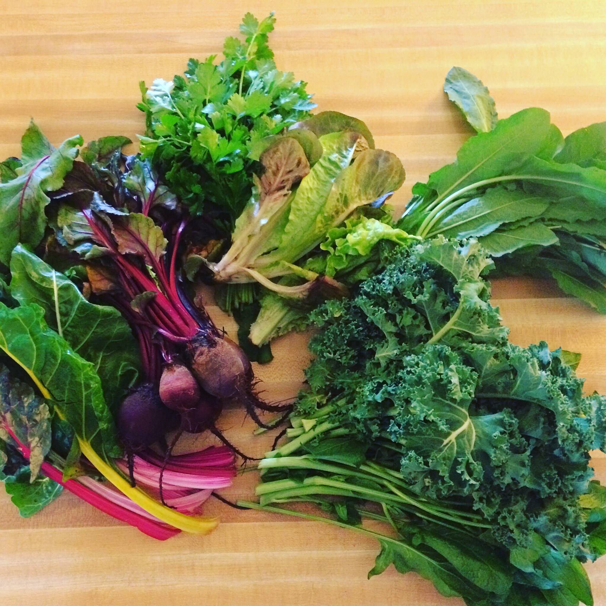 Appleby Community Farm in Nacogdoches, TX