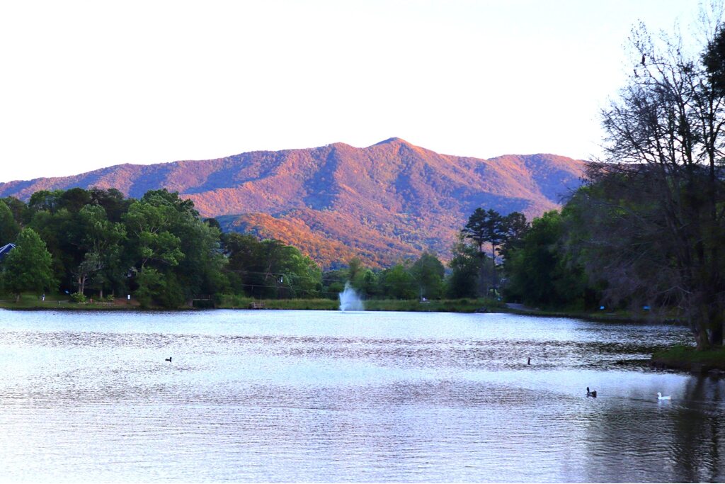 Mountain Vista Properties in Black Mountain, NC (4)