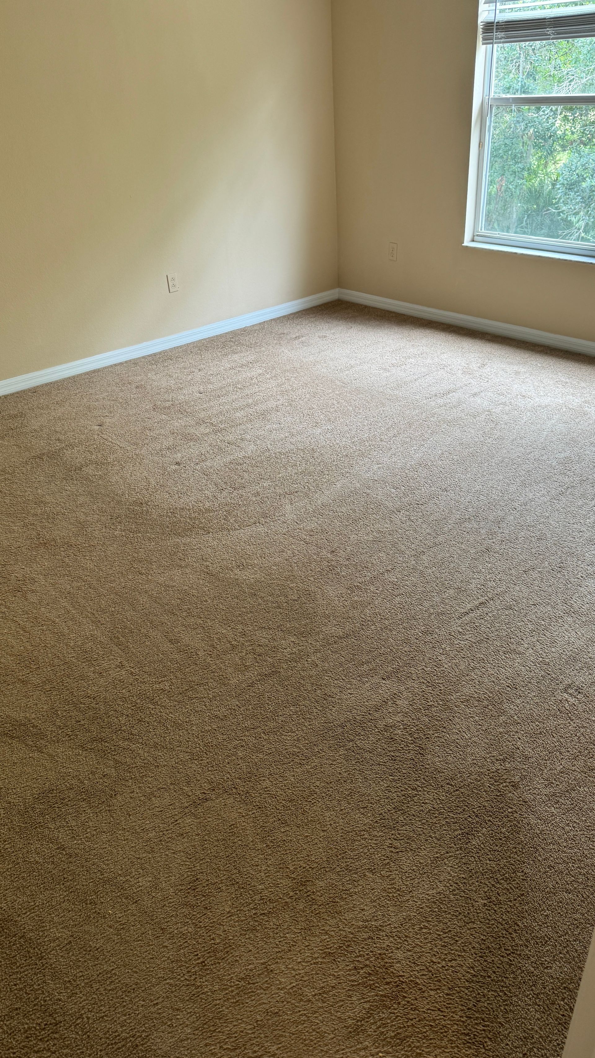 J & J cleaning services, LLC in Ruskin, FL (2)