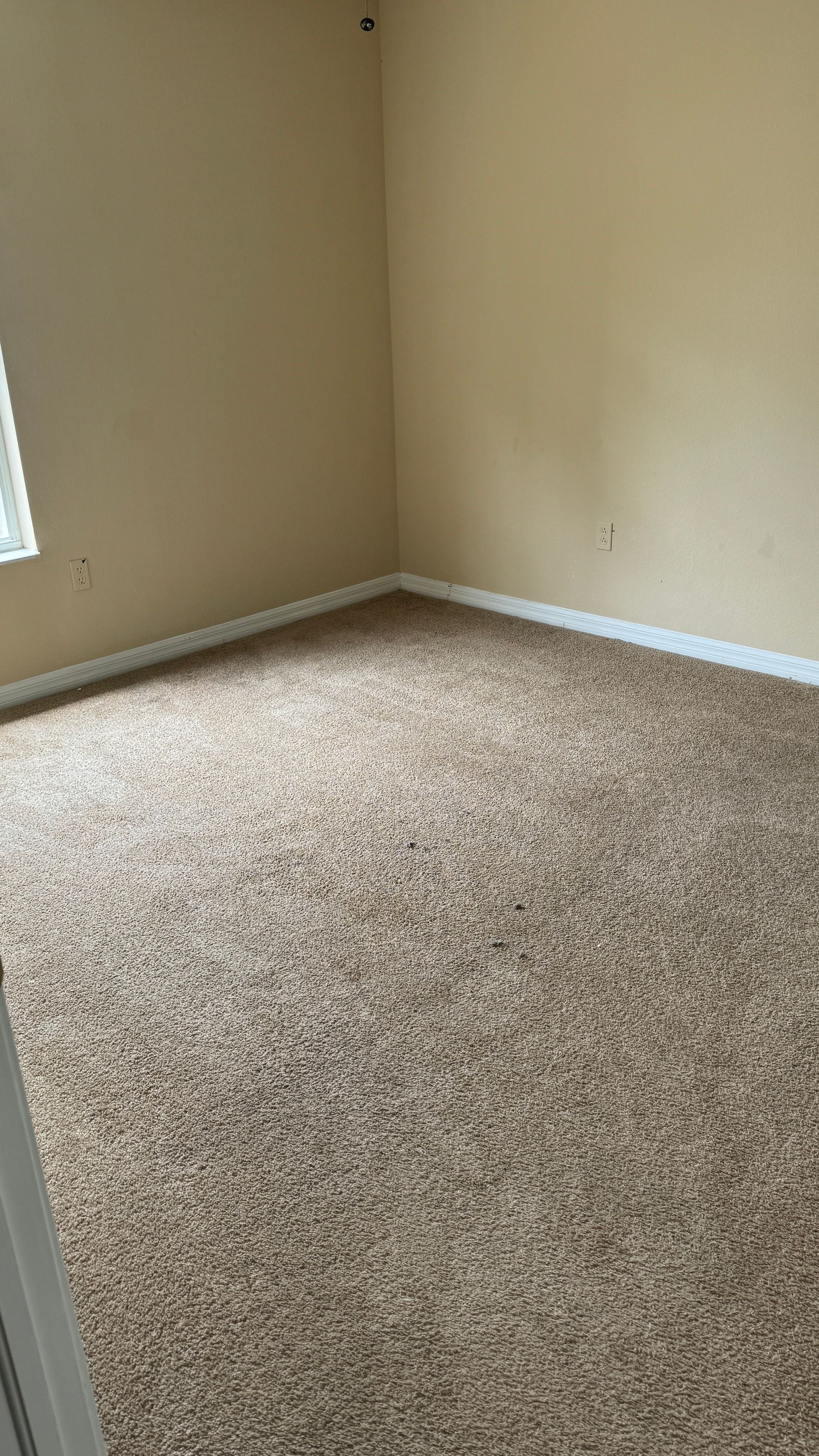 J & J cleaning services, LLC in Ruskin, FL (5)