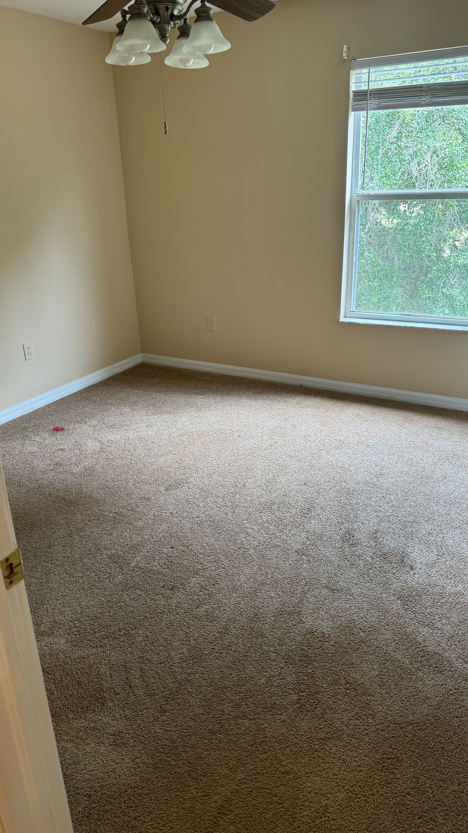 J & J cleaning services, LLC in Ruskin, FL (6)