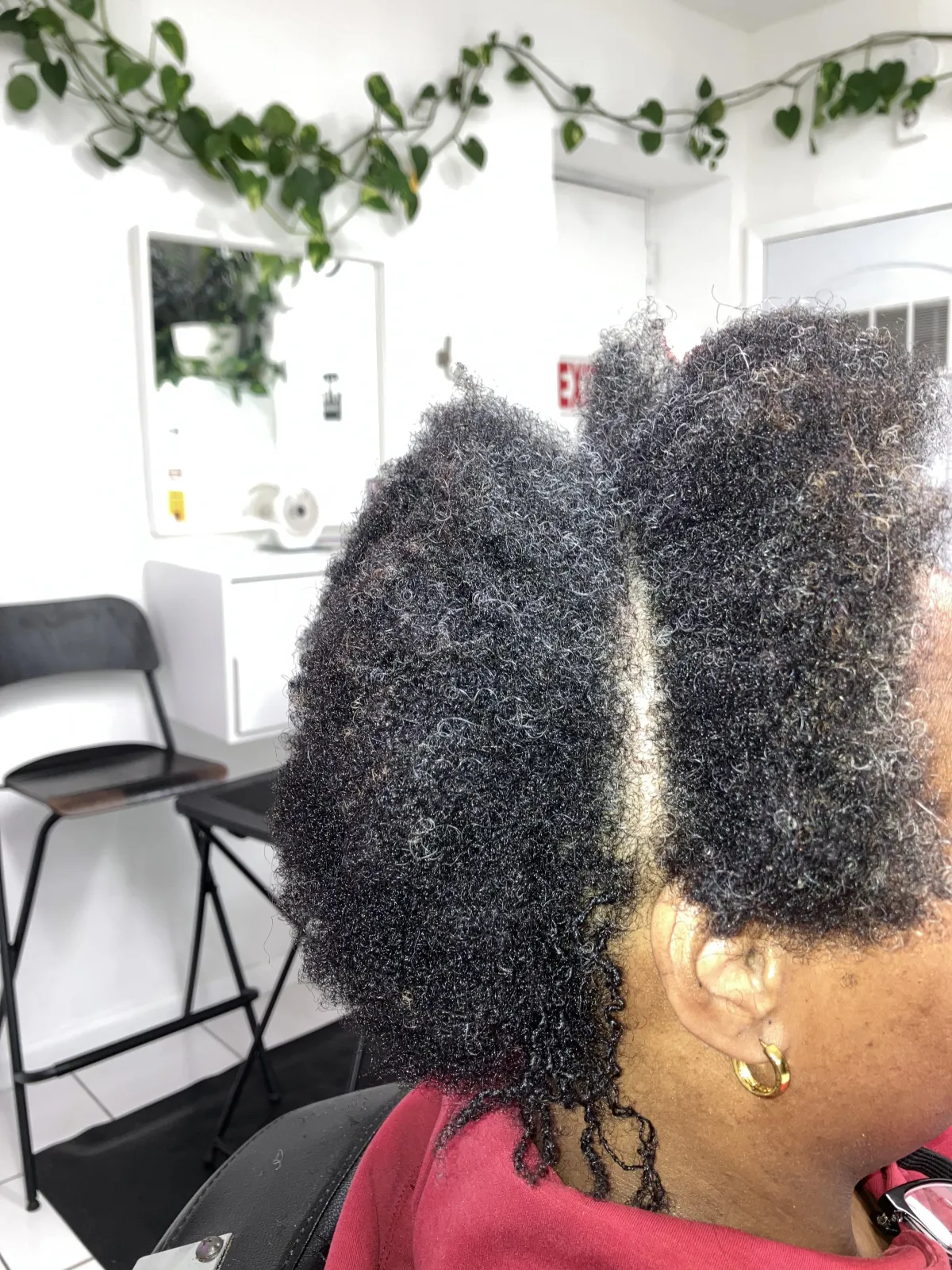The Xpertsonly Experience LLC in Crestwood, IL (2)
