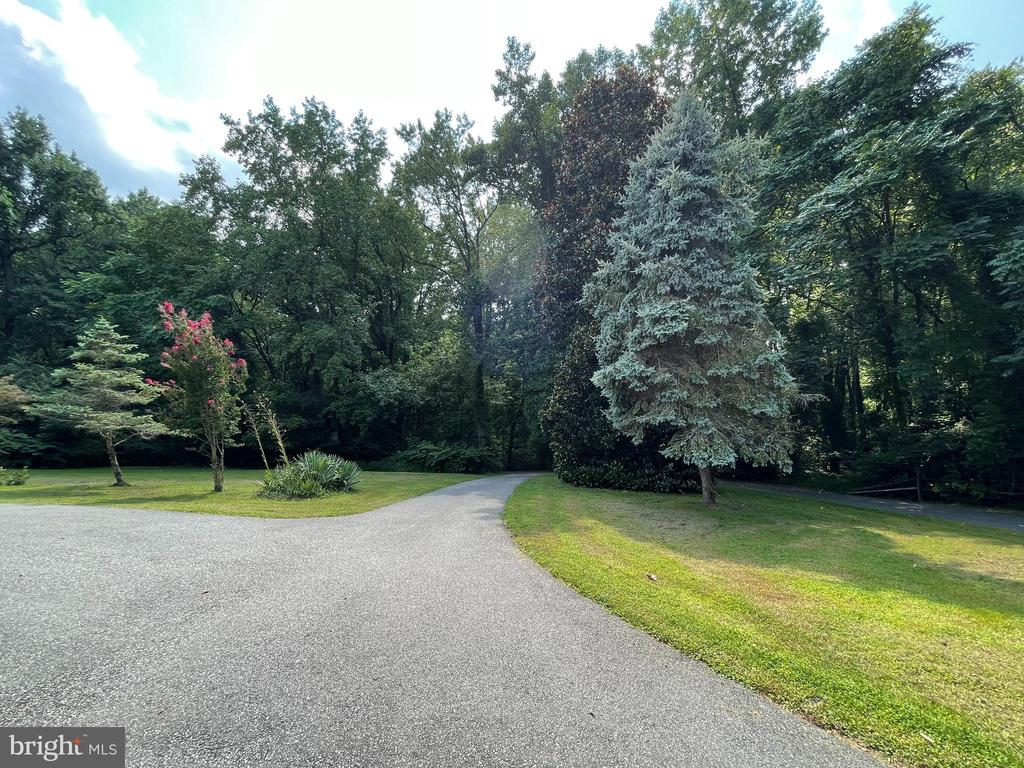 Dell Residential in Arlington, VA (5)