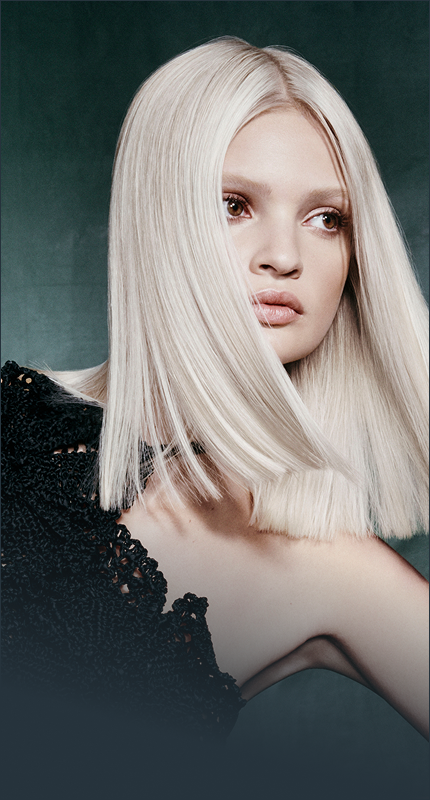 Ibi David Salon & Spa in Westlake, OH