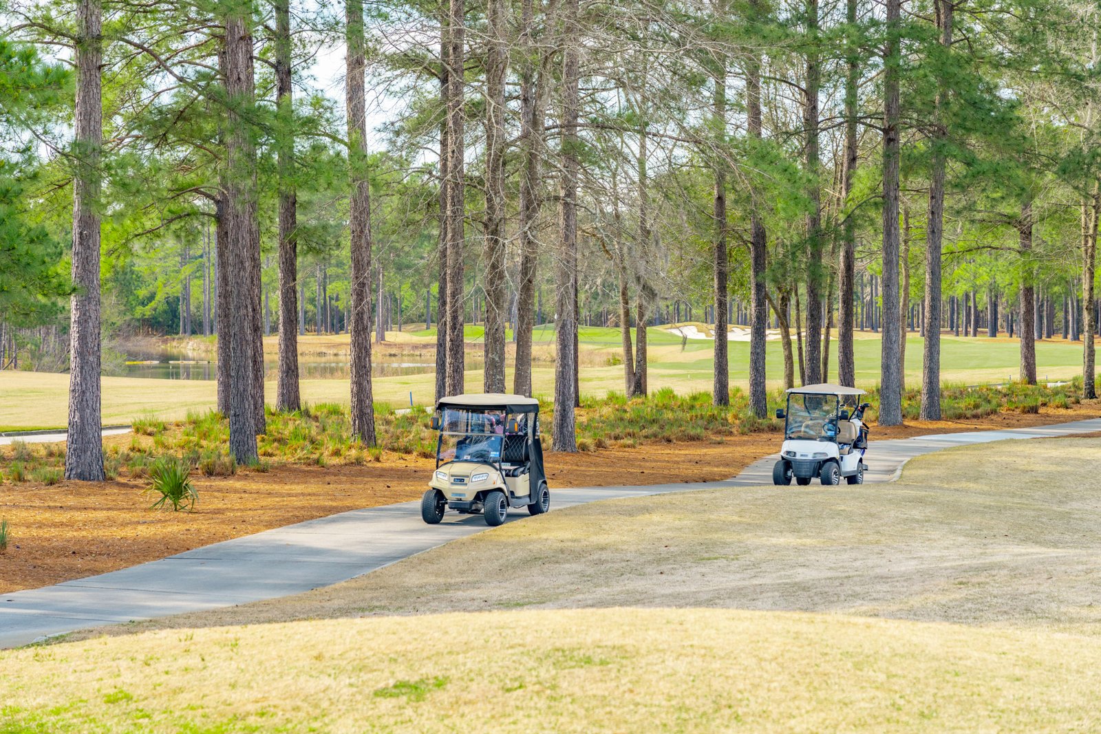 The Reserve Team of The Homesfinder Realty Group in Okatie, SC (6)