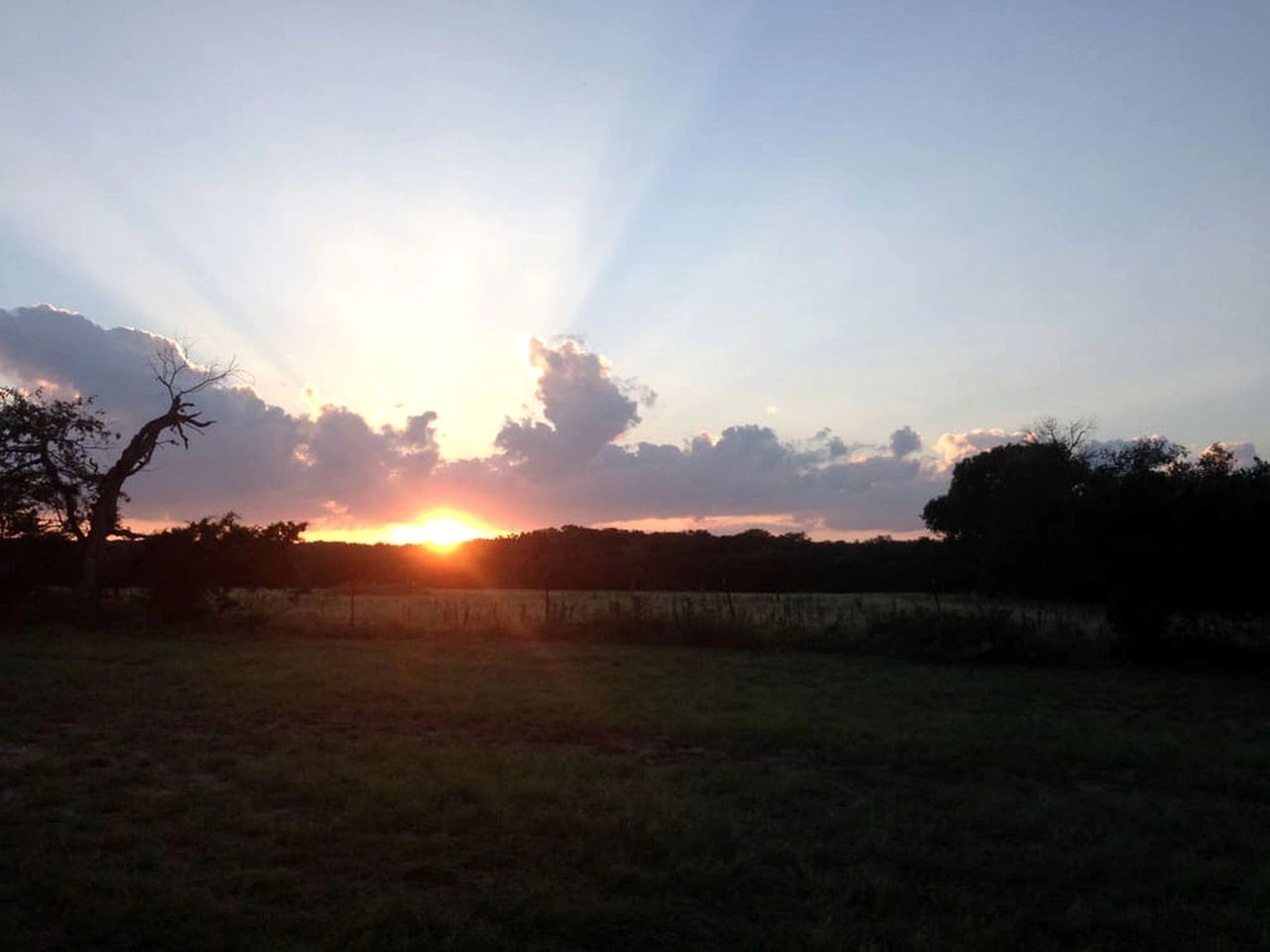 TWIN ELM GUEST RANCH in Bandera, TX