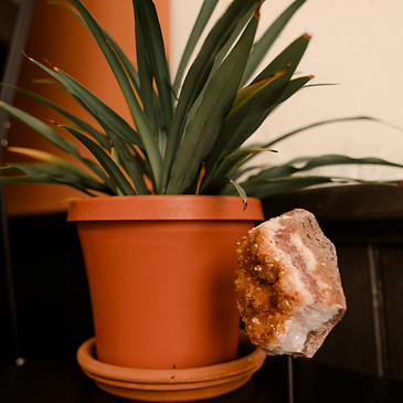 Citrine Studio in Urbana, OH (5)