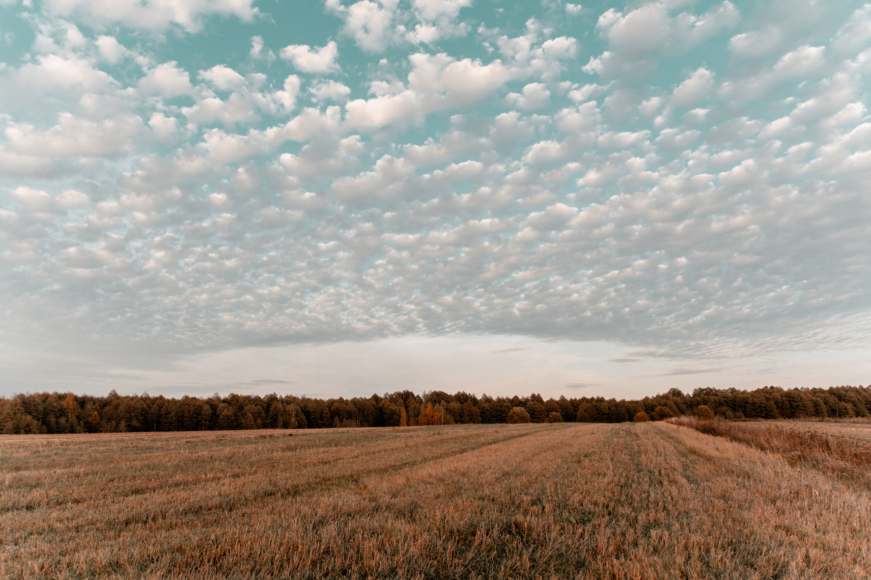McCullar Realty Co in Baird, TX