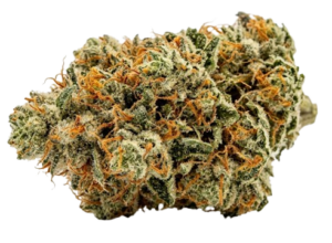 Florida Cannabis Supply in Inverness, FL (5)