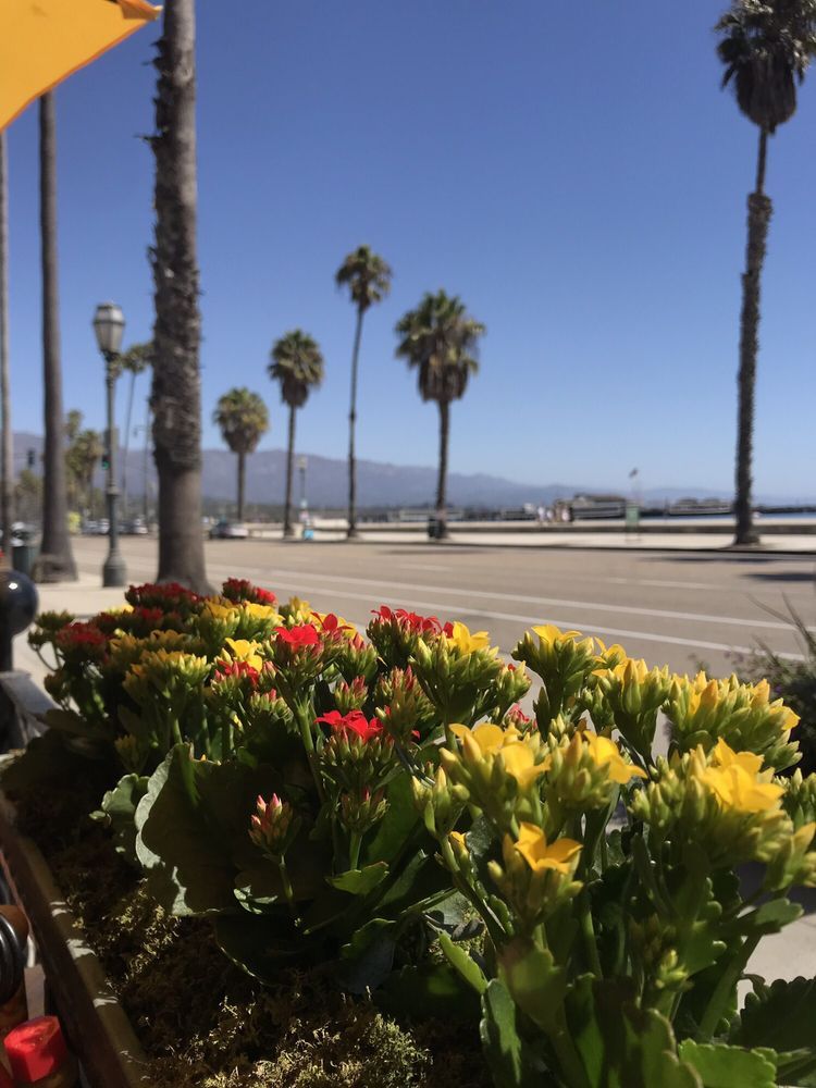 Chad’s Cafe in Santa Barbara, CA (5)
