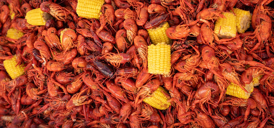Midsouth Crawfish, LLC in Ellendale, TN