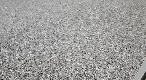 S&S Carpet and Upholstery Cleaning in South Mills, NC (3)