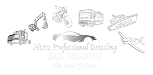 Matt's Professional Detailing in Longs, SC (3)