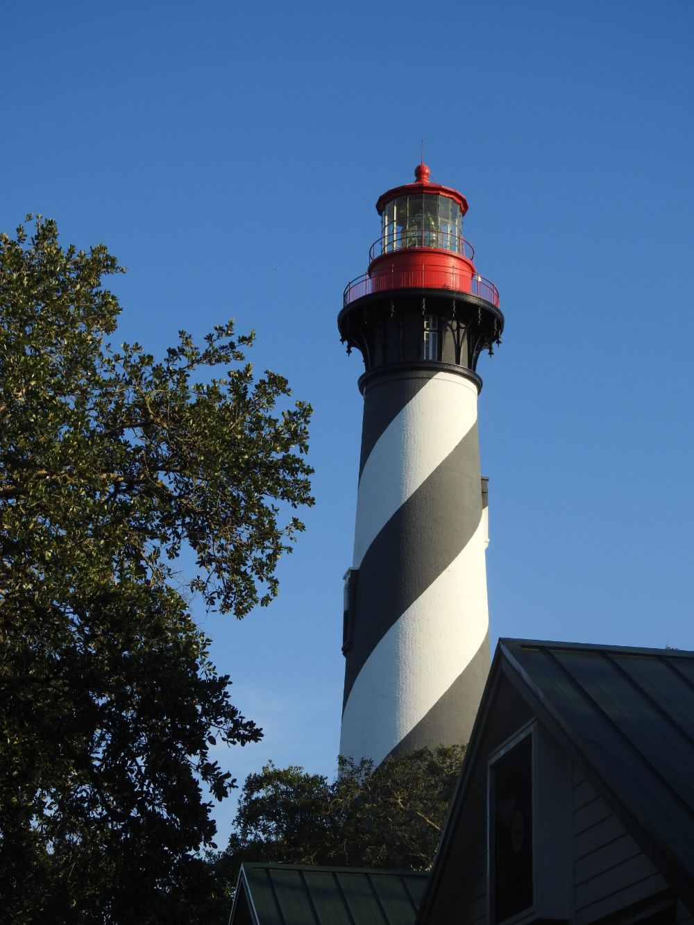 Taylor Waldrop Pribisco in St. Augustine, FL (2)