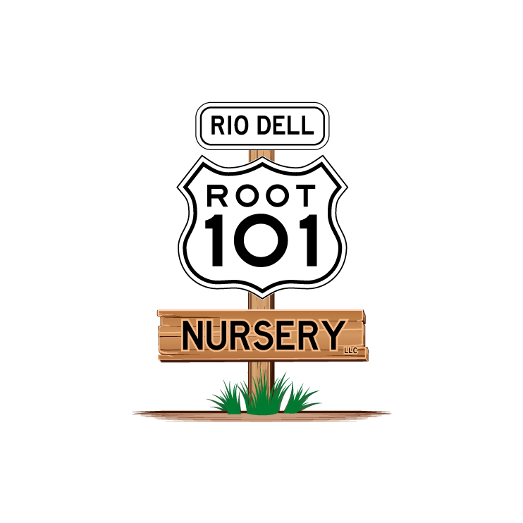 Root 101 Nursery in Rio Dell, CA (2)