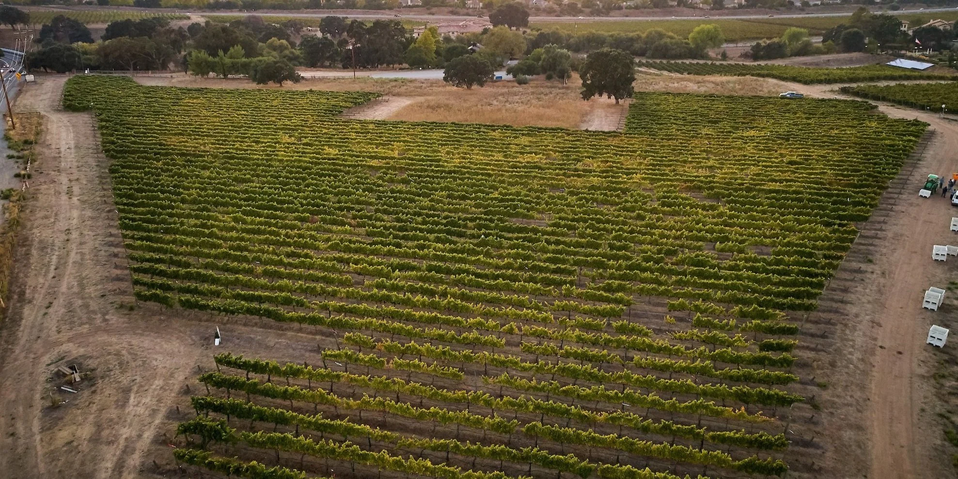 Fenestra Winery in Livermore, CA