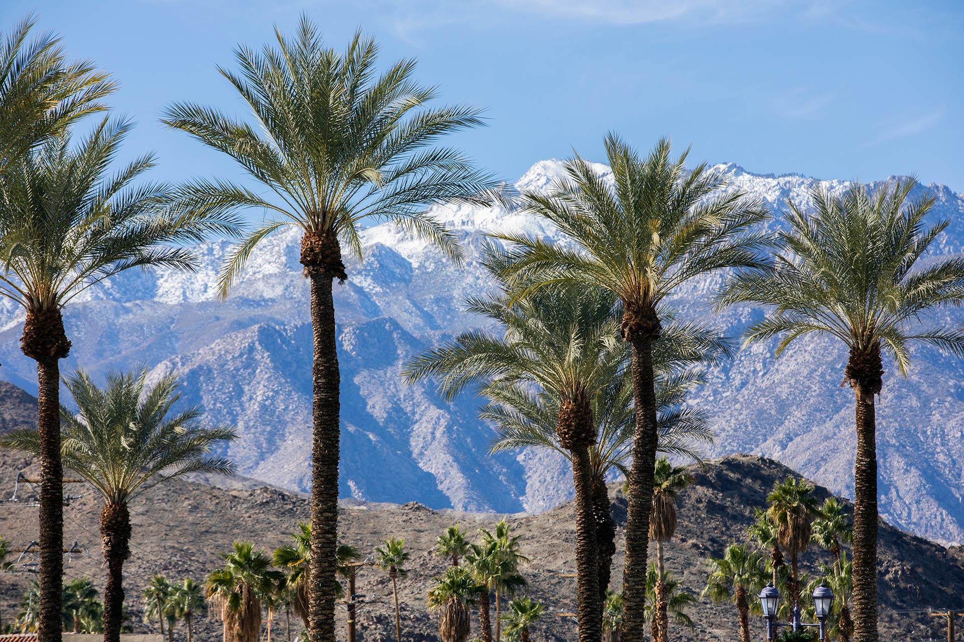 Hill & Associates, Inc. in Palm Springs, CA