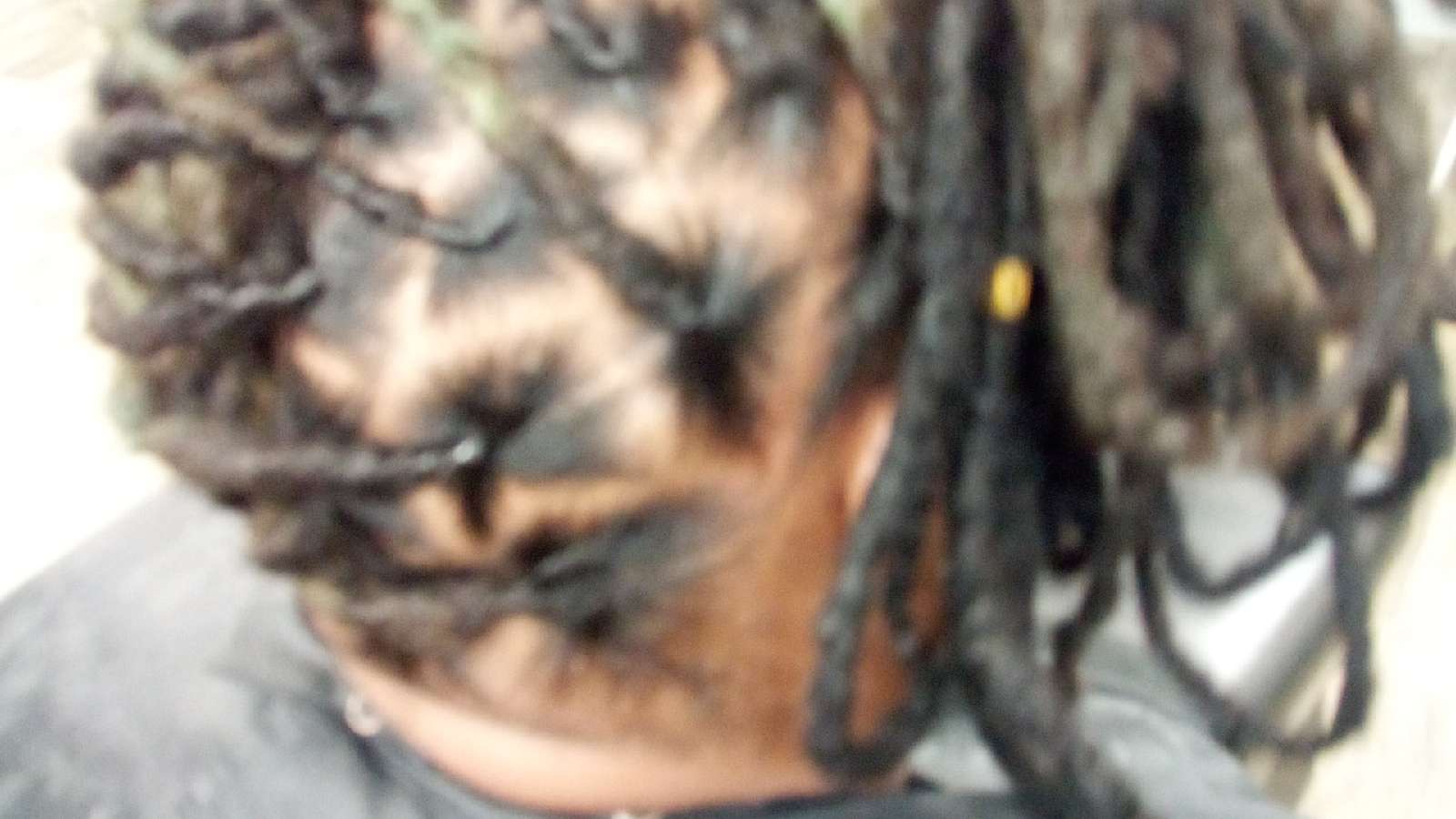 TWISTED & GIFTED LLC LOCS LACES BRAIDS &BARBER in Tampa, FL