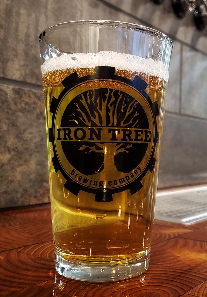 Iron Tree Brewing Company in Christiansburg, VA (4)