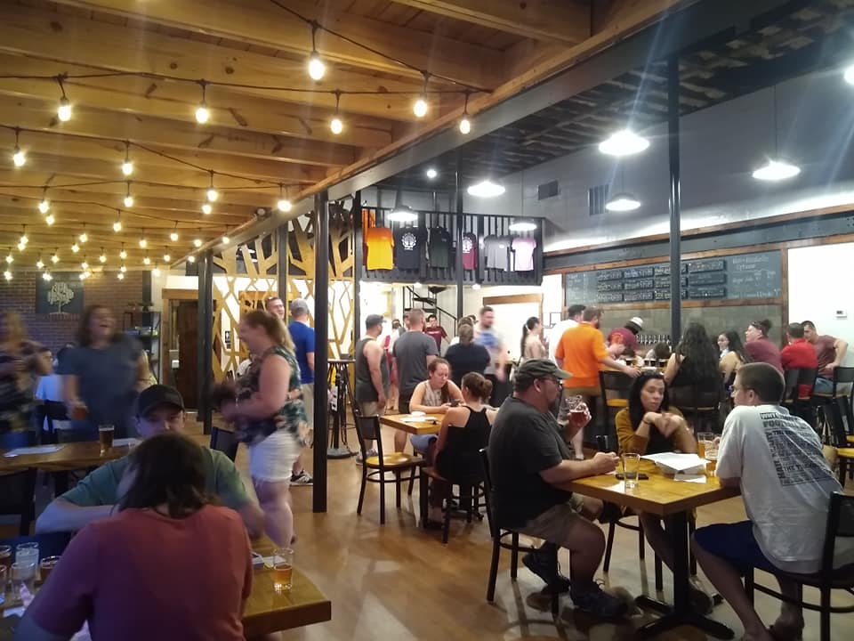 Iron Tree Brewing Company in Christiansburg, VA (6)