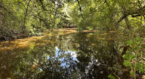 Texas Land & Homes in Franklin, TX (2)