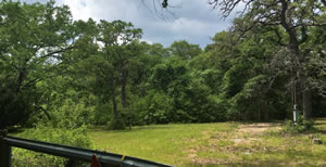 Texas Land & Homes in Franklin, TX (6)