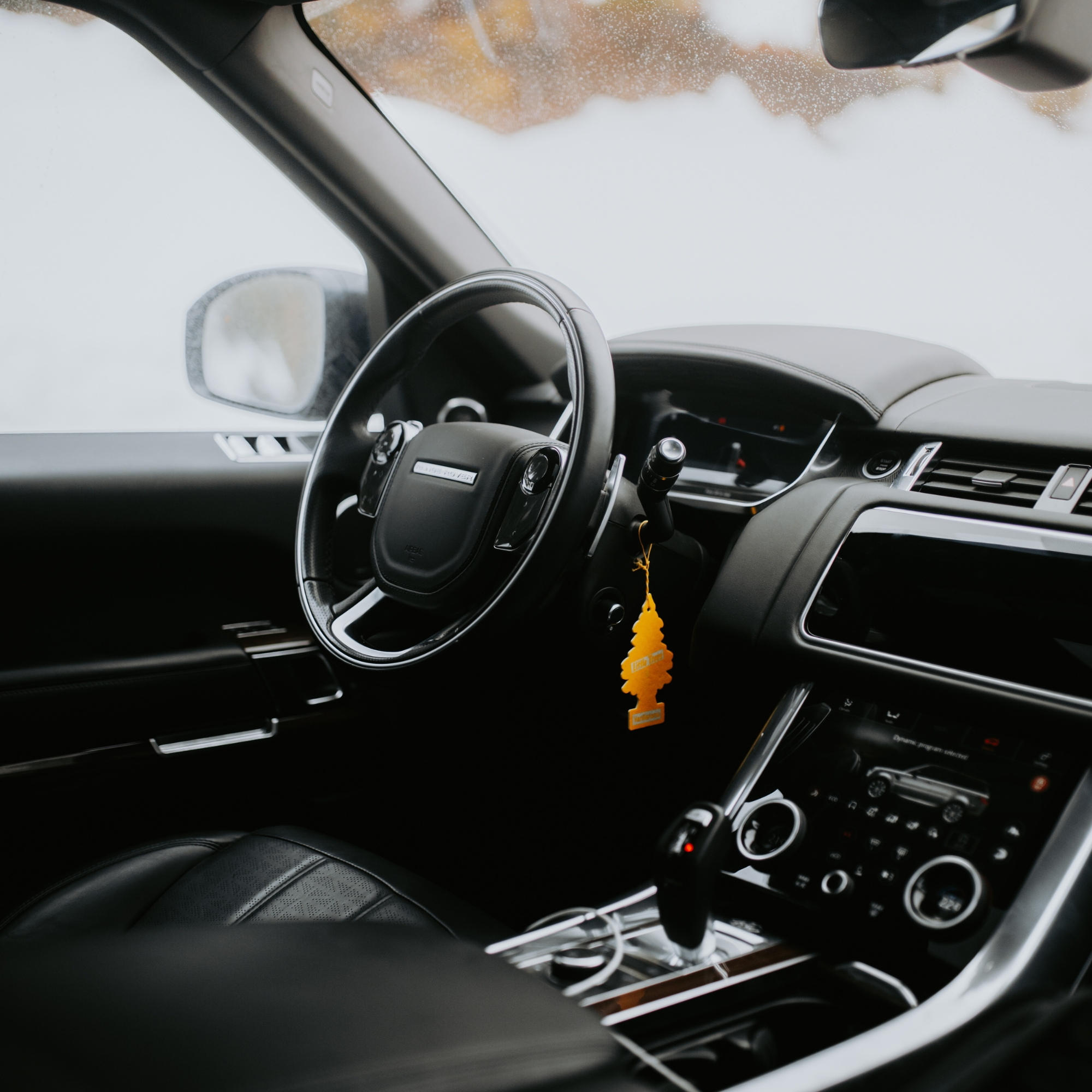 High Ticket Detailing Services in Lakeland, FL