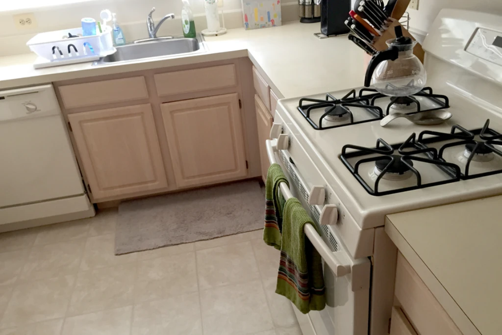 Seneida's Home Cleaning Services in Butler, NJ (6)