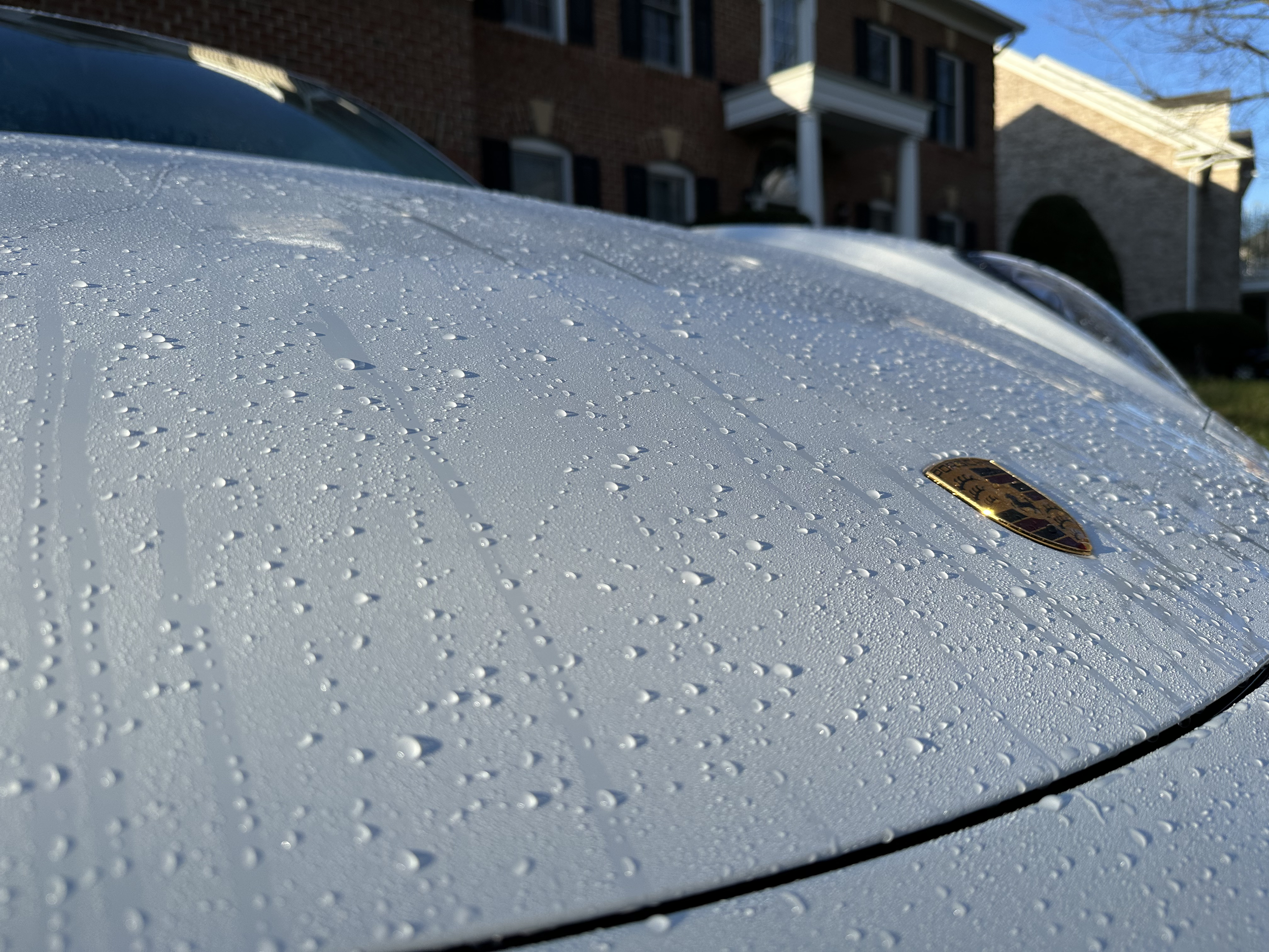 Hashir's Detail in Leesburg, VA