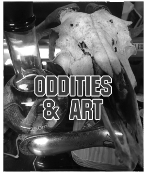Body Mods in Sunbury, PA (6)