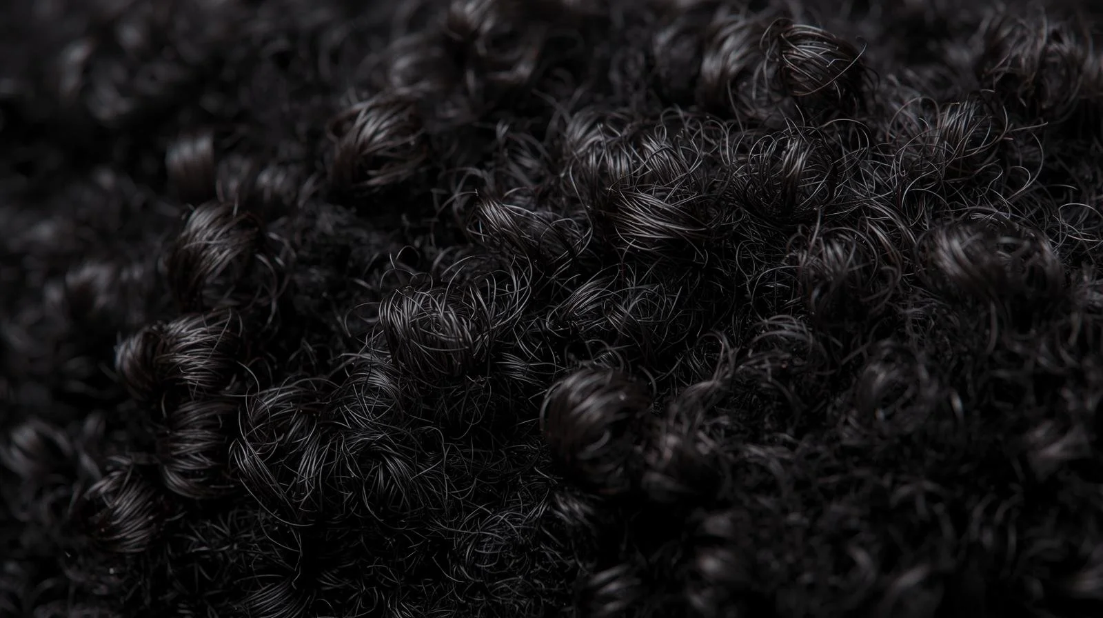 Her·itage Salon | Natural Hair, Locs & Textured Care in Raleigh, NC (5)