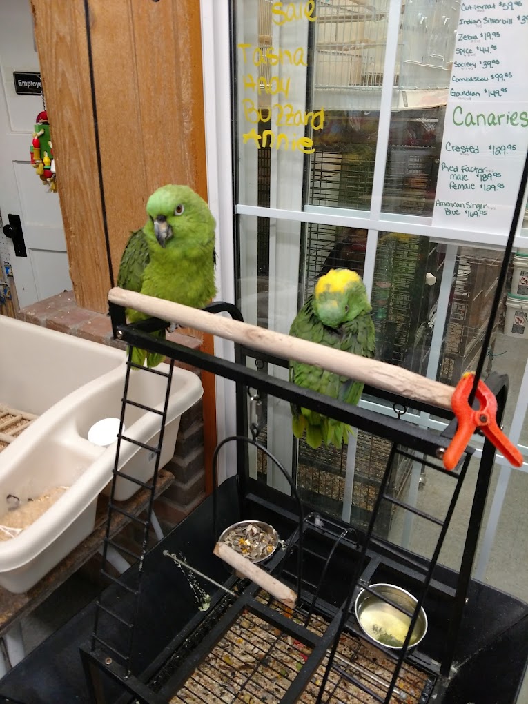Pet Connection in Alliance, OH (3)
