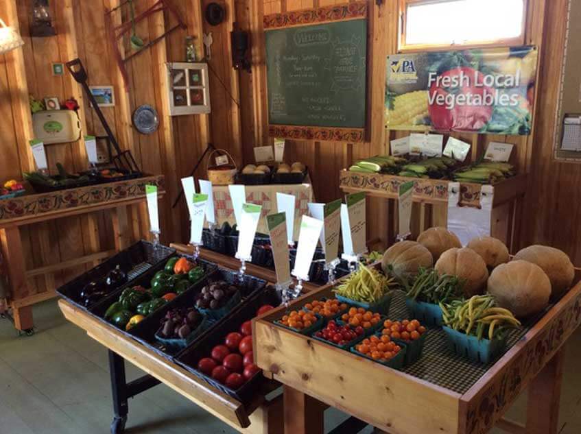Martz Farms in Duncannon, PA (2)