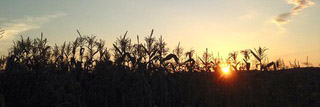 Martz Farms in Duncannon, PA (5)