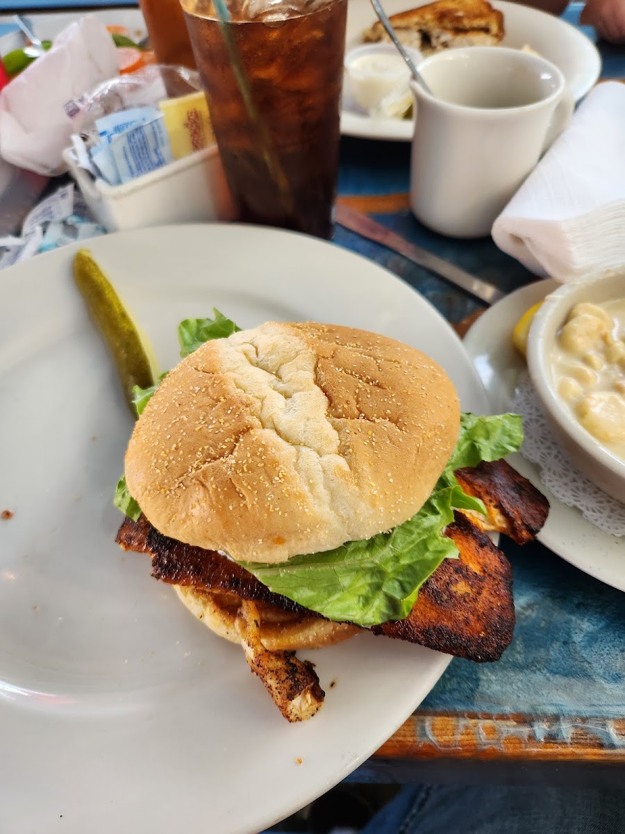Cracked Conch Cafe in Marathon, FL (6)