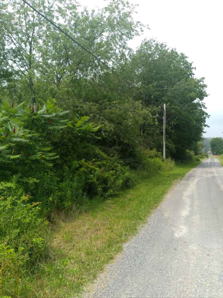 Blue Sky in Sykesville, PA (6)