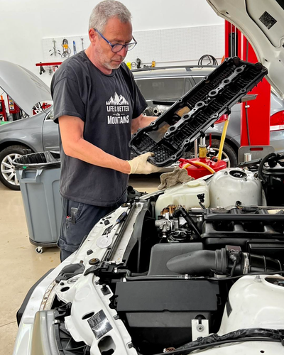 Mountain European Auto Repair in Blairsville, GA (3)