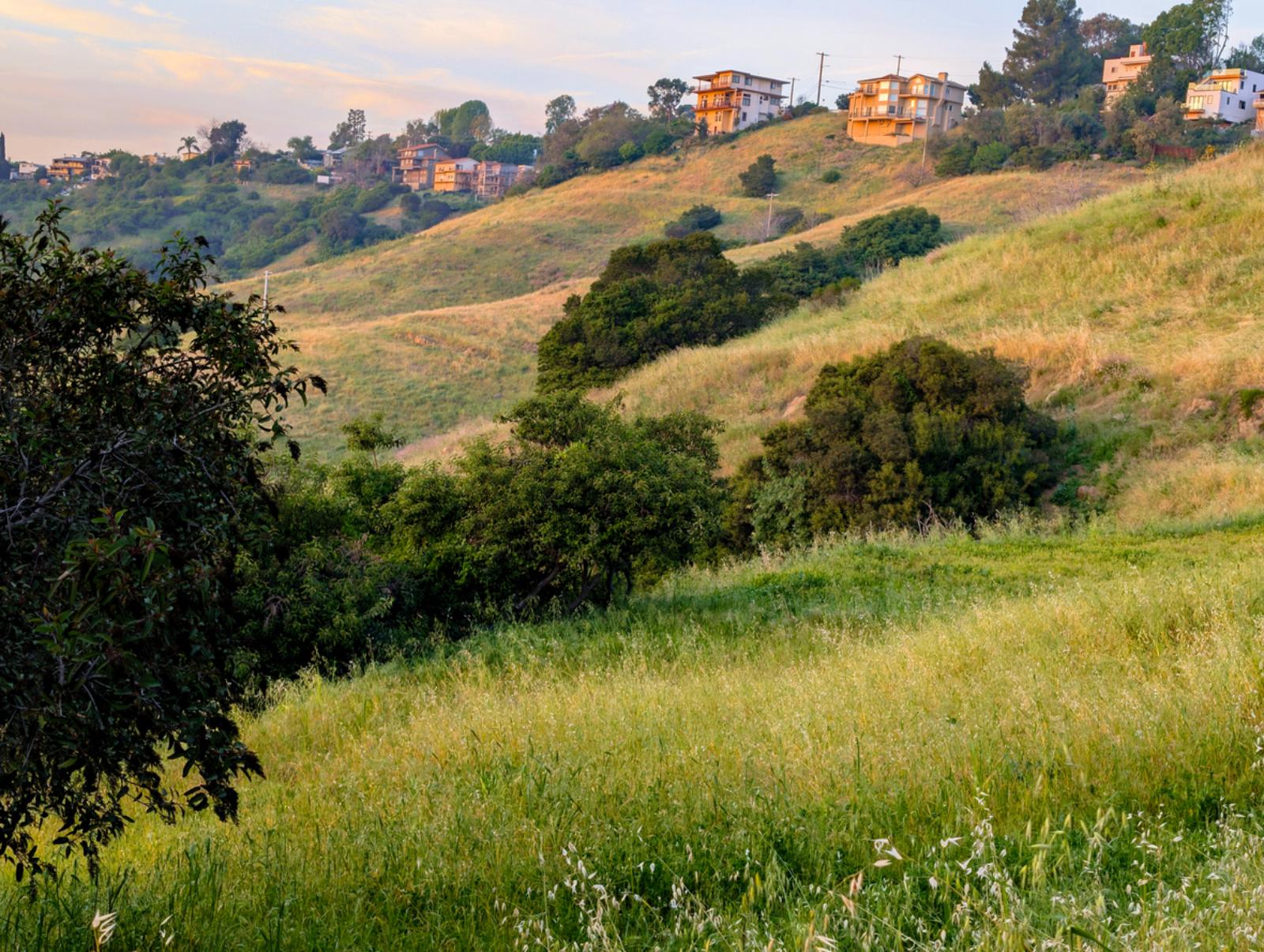 Felipe Crook, EXP Realty of Greater Los Angeles, INC in Santa Monica, CA (5)