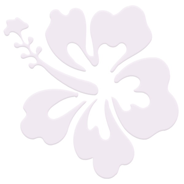 Nadine Michelle Natural Beauty LLC in Seminole, FL (4)