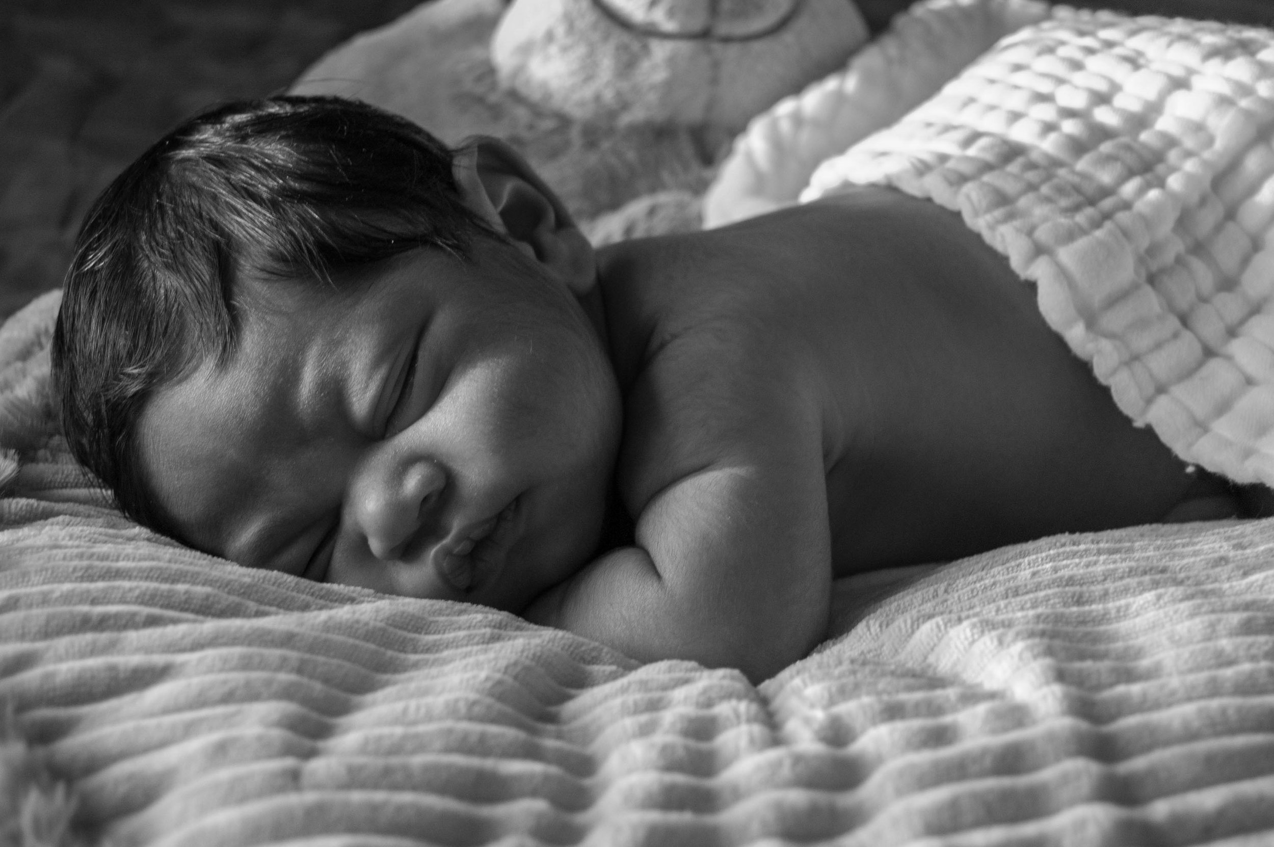 Moments Photography LLC in Winter Park, FL
