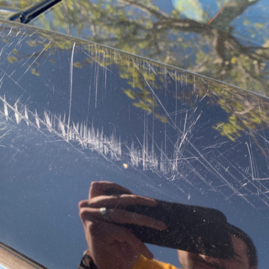 Palmetto Boy Auto Detailing in Conway, SC