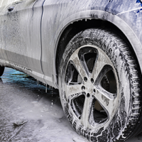 Palmetto Boy Auto Detailing in Conway, SC (3)